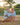 Kenny Flowers the Anguilla little girls blue scales long sleeve rash guard one piece, matching family vacation swimsuits