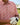 The Azaleas - Sunset Golf Shirt