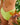 Sienna The MIA - Classic Bikini Bottom