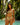The Africa - Reversible Bandeau Bikini Top with Removable Straps