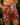 Margaritaville by Kenny Flowers – The Christmas Island - Swim Trunks