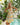 Woman in a colorful dress standing by a pool with tropical plants in the background