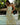 Woman in a floral dress standing by a pool with tropical plants and a hut in the background