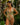 The Africa - Sculpt One Piece