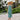 Dark Slate Gray The Beverly Hills - Beach Dress