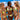 Sienna The Positano - Lemon Print Underwire Bikini Top