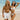 Gray The North Shore - Sporty Bikini Bottom