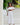 Kenny Flowers The Jetset solid white womens linen off the shoulder crop top