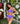 The Kaanapali - Lavender Fine Terry High Waist Bikini Bottom