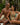 Couple sitting by a pool with tropical foliage in the background