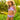 Dark Goldenrod The Waikiki - Girls Ruffle Bikini UPF 50+